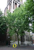 Utrecht, Domplein